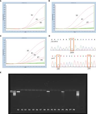 Detection of macrolide and fluoroquinolone resistance-associated 23S rRNA and parC mutations in Mycoplasma genitalium by nested real-time PCR